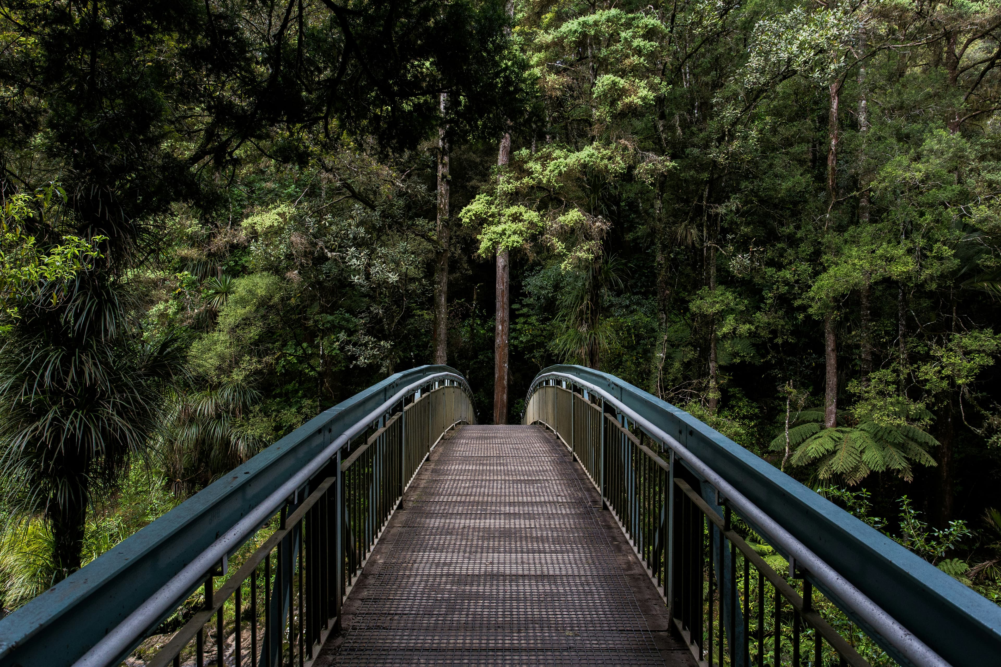 Bridge and forest landmark inspiration for a place-based anniversary puzzle
