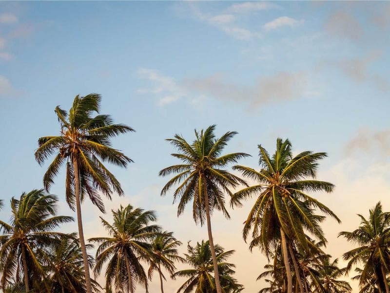 The Holiday Series, No. 1