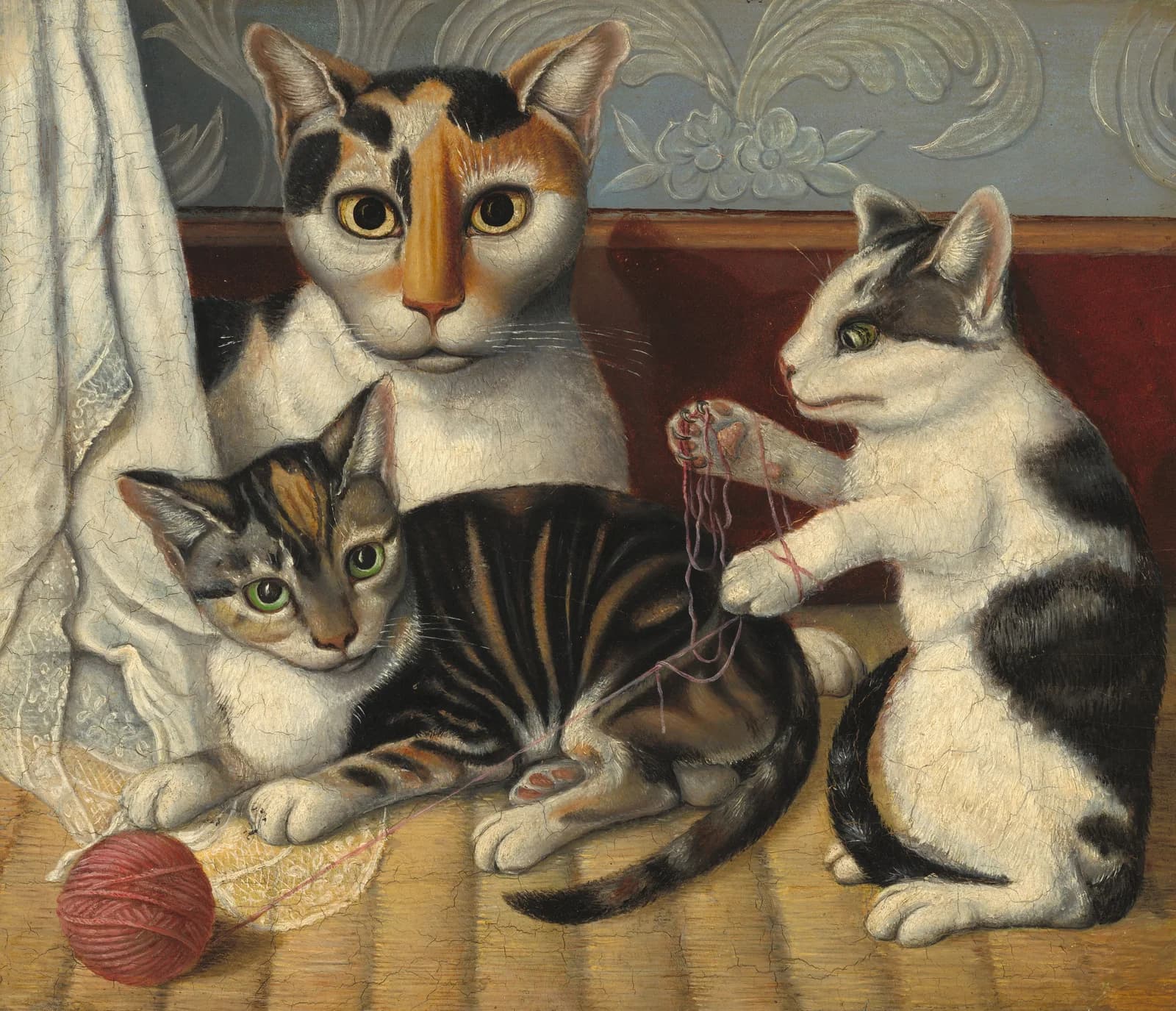 Cat and Kittens