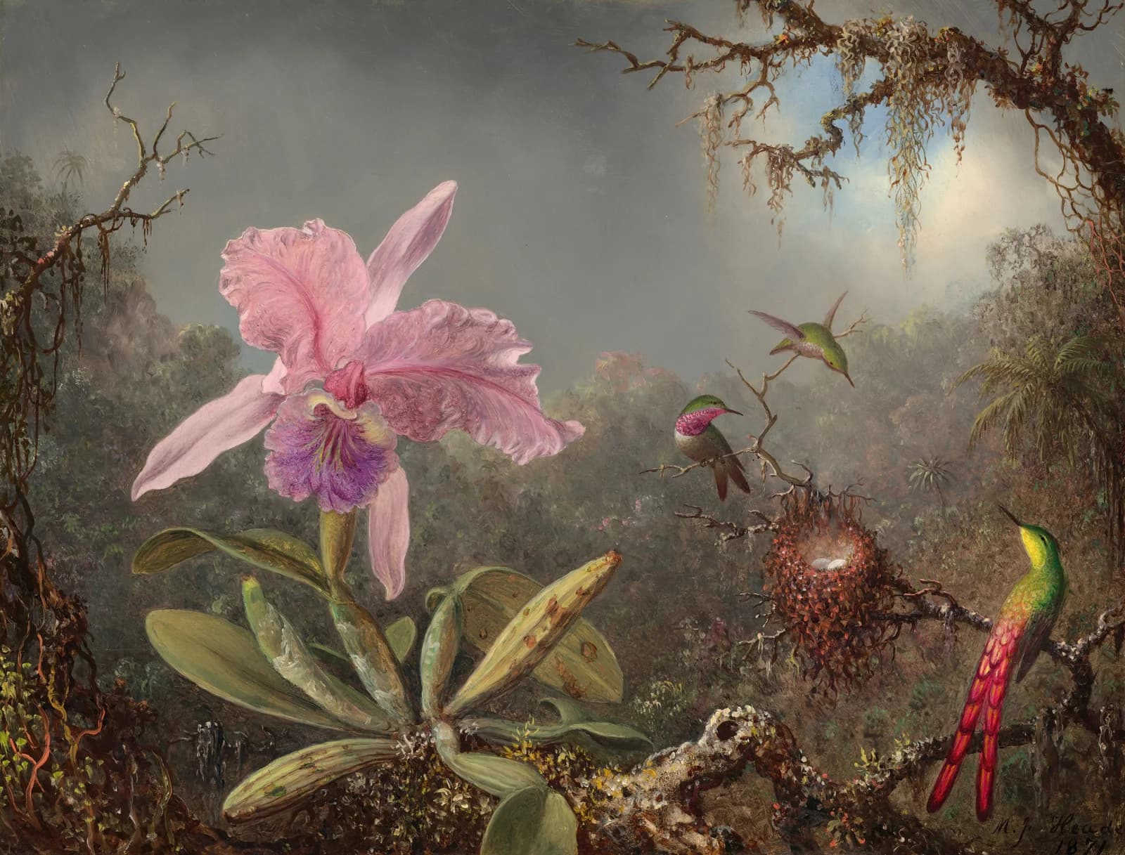 Cattleya Orchid and Three Hummingbirds by Martin Johnson Heade, a Whittled wooden jigsaw puzzle