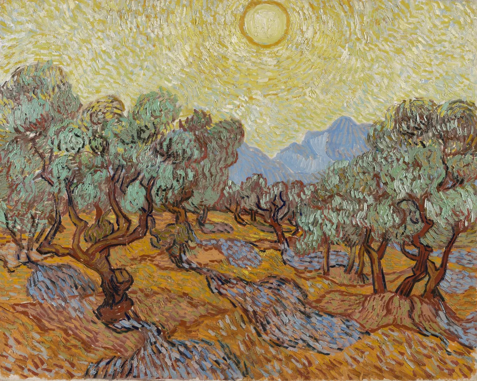 Olive Trees