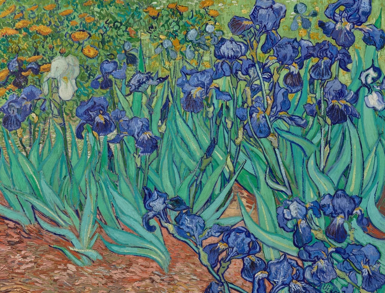 Irises by Vincent van Gogh, a Van Gogh wooden jigsaw puzzle